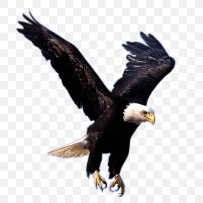 Eagle Landing