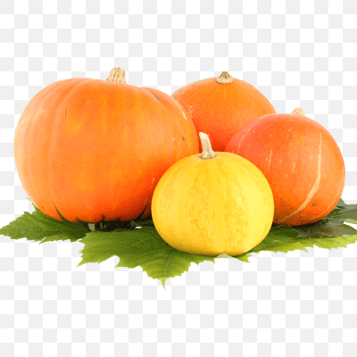 Group Pumpkin