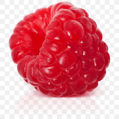 Isolated Raspberry