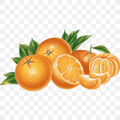 Orange Illustration 
