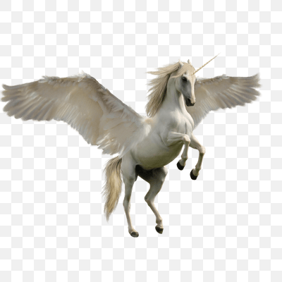 Unicorn Jump